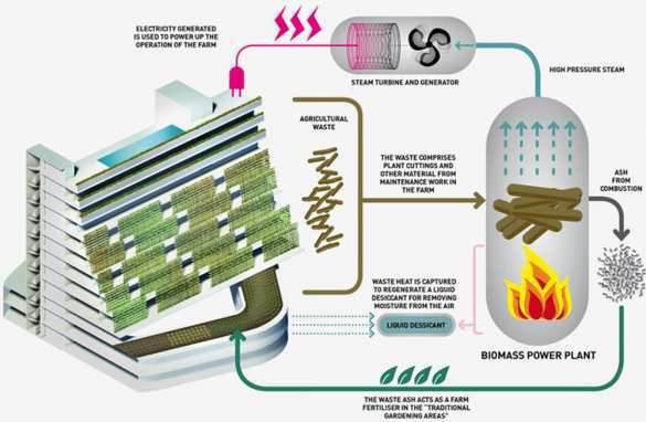 «Мегаполис-огород» — сингапурские архитекторы нарисовали свою версию города-сада | Русская весна