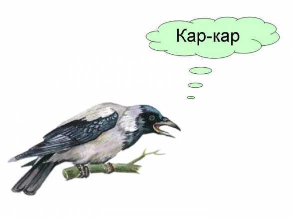 На Украине предложили переименовать КРЫМ в «КАР» | Русская весна