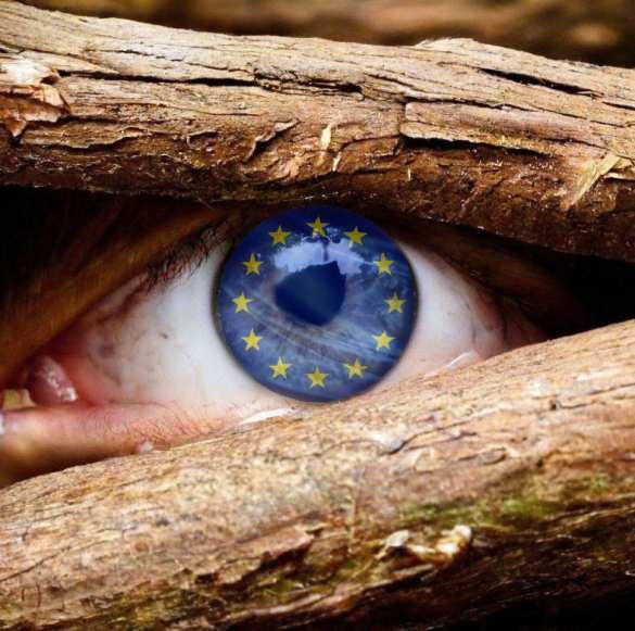 Аллегория европейской лжи | Русская весна