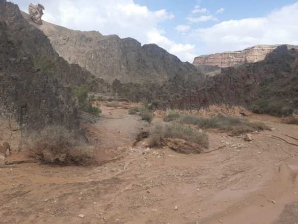 15-минутный ливень привёл к трагедии в Казахстане (ФОТО) | Русская весна