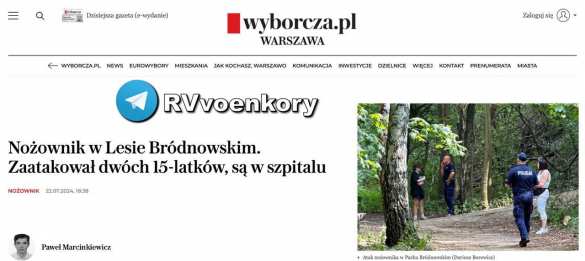 В Польше гражданин Узбекистана напал с ножом на 15-летних украинцев | Русская весна
