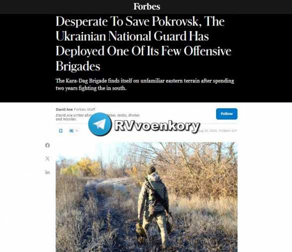 Украина перебросила под Покровск одну из немногих своих наступательных бригад в попытке остановить «Отважных» — Forbes | Русская весна