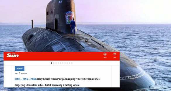 Атомные подлодки ВМС Британии спутали пукающего кита с российским шпионским оборудованием | Русская весна