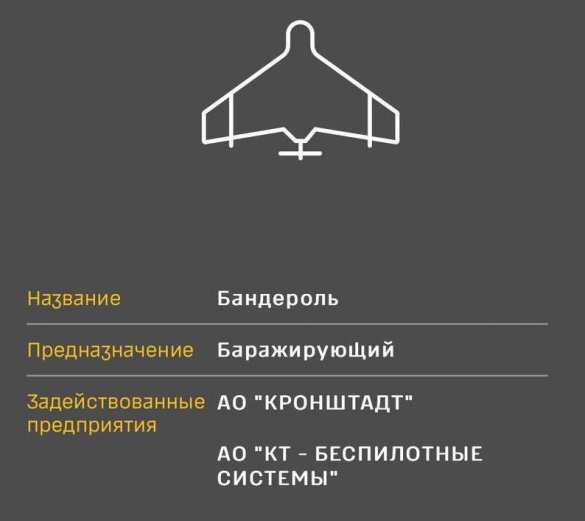 Россия бьёт по целям новыми ударными БПЛА «Бандероль», — эксперт ВСУ | Русская весна