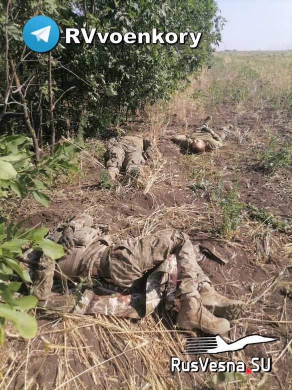 СРОЧНО: «Отважные» открыли дорогу на Северск, усеяв её трупами боевиков ВСУ (КАРТА, ФОТО 18+) | Русская весна