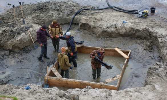 Мамонт Тадибе открыл палеонтологам свои первые тайны (ФОТО) | Русская весна