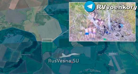 Армия России продолжает выбивать оккупантов из Курского приграничья (КАРТА) | Русская весна