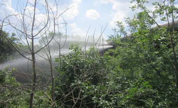 Армия ДНР наказала ВСУ за ночной обстрел Горловки (ФОТО) | Русская весна