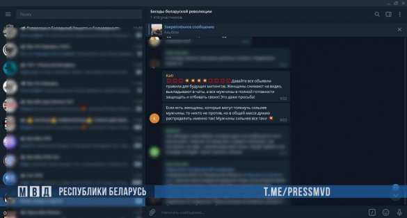 Белоруска призывала «воровать милиционеров и увозить в лес», но быстро раскаялась (ВИДЕО) | Русская весна