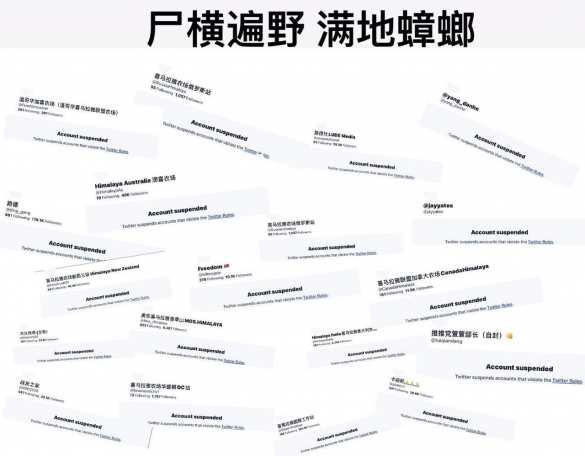 Порноскандал с сыном Байдена: оргия под наркотиками попала на видео (ФОТО) | Русская весна