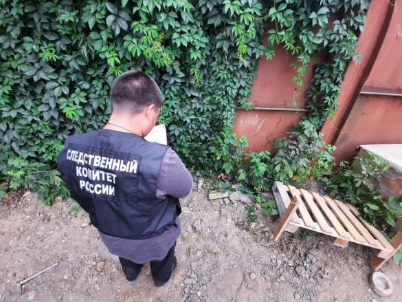 Шокирующий Саратов: собаки принесли сторожу человеческую голову (ФОТО) | Русская весна