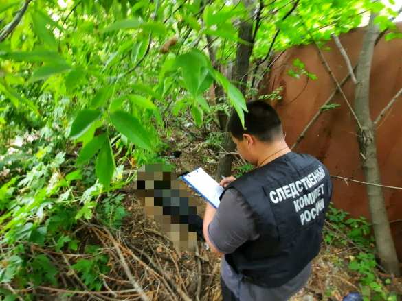 Шокирующий Саратов: собаки принесли сторожу человеческую голову (ФОТО) | Русская весна