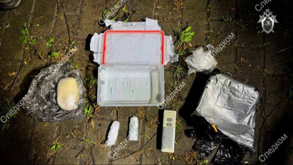 В Москве предотвратили теракт, готовившийся агентом украинских спецслужб (ФОТО) | Русская весна