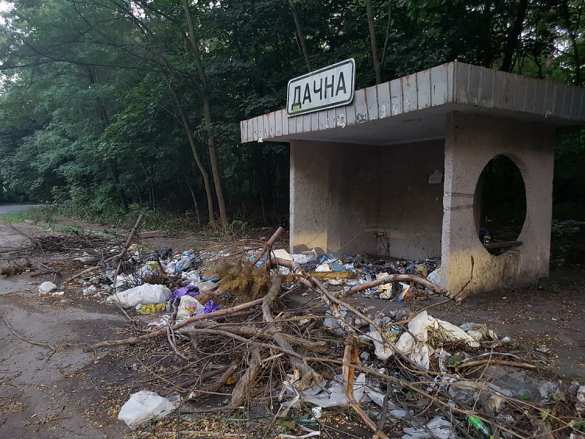 «Это Путин намусорил, пусть он и убирает», — депутат Рады рассказал про чудовищный «срач» на остановках в окрестностях Киева (ФОТОФАКТ) | Русская весна