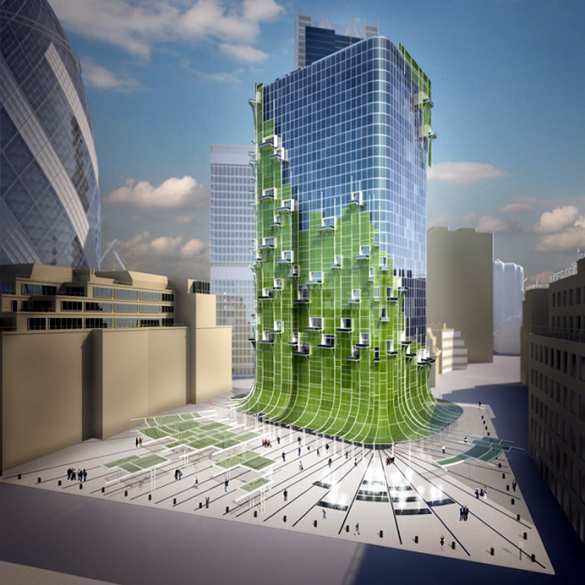 Первый лист небесного сада (видео) | Русская весна