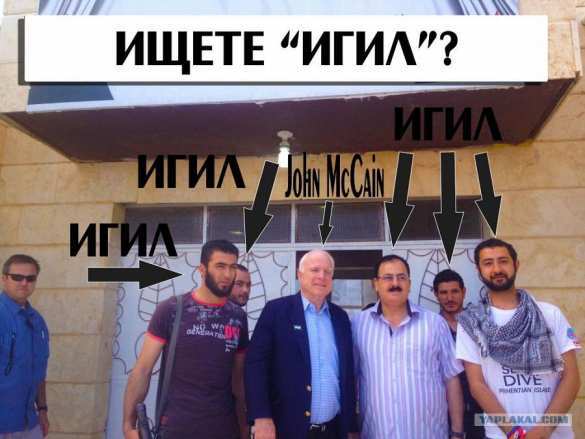 Маккейн крайне недоволен проведением местных выборов на Донбассе (ФОТО) | Русская весна