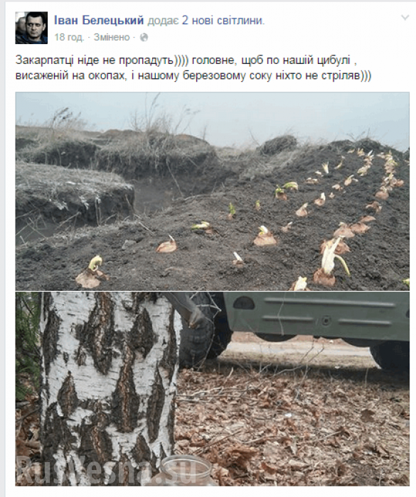 Ukrainian military planted onion in trenches | Русская весна