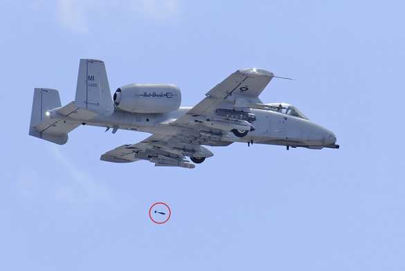 В США штурмовик сбросил бомбы после столкновения с птицей (ФОТО) | Русская весна