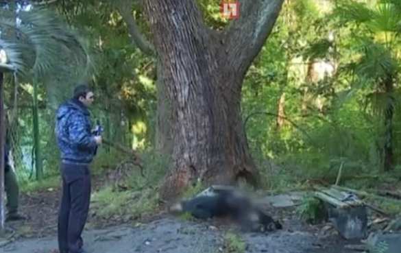 В Абхазии прогремел взрыв у телекомпании, есть погибший (ВИДЕО, ФОТО 18+) | Русская весна