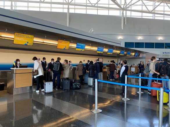 Спецбортом из Нью-Йорка в Киев эвакуировали кошку (ФОТО, ВИДЕО) | Русская весна