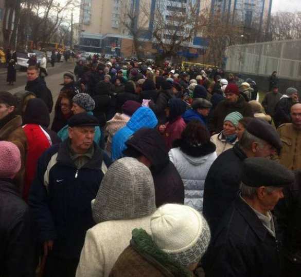 В День Дурака протестующие под посольством США в Киеве мычали, блеяли и ели капусту под лозунгами: «Мы не скоты!» | Русская весна