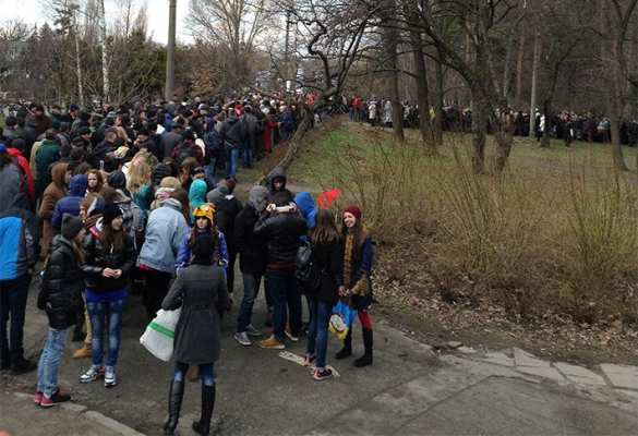 В День Дурака протестующие под посольством США в Киеве мычали, блеяли и ели капусту под лозунгами: «Мы не скоты!» | Русская весна