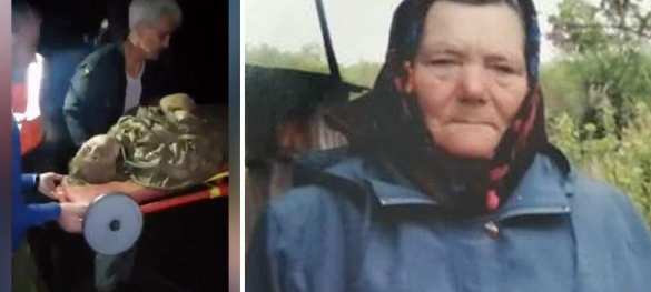 83-летняя бабушка сутки простояла в трясине, рыком отпугивая медведя (ФОТО, ВИДЕО) | Русская весна