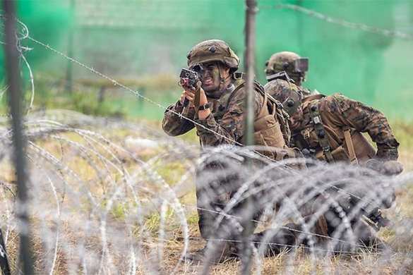 «Украинский сценарий»: Латвия подняла войска по тревоге (ФОТО) | Русская весна