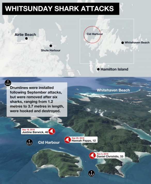 Турист погиб после нападения акулы в Австралии (ФОТО) | Русская весна