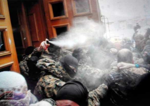 Violent clashes at Kiev municipal council, CS tear gas deployed by protesters (PHOTOS, VIDEO) | Русская весна