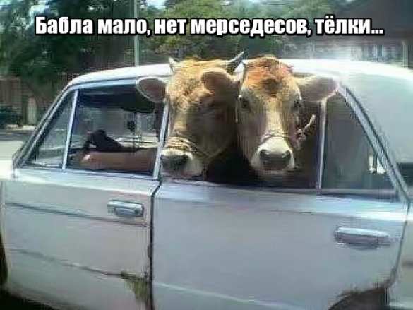 Лукашенко пришлось оправдываться за «бабло и тёлок» (ВИДЕО, ФОТОЖАБЫ) | Русская весна
