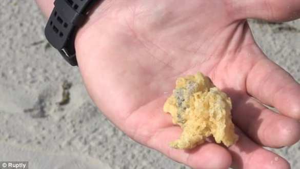 На пляжи Франции вымыло сотни килограммов неизвестной субстанции (ФОТО) | Русская весна