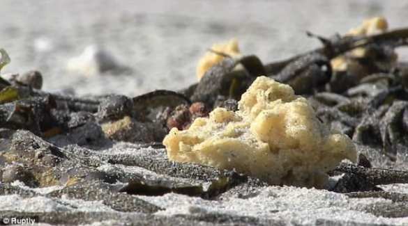 На пляжи Франции вымыло сотни килограммов неизвестной субстанции (ФОТО) | Русская весна