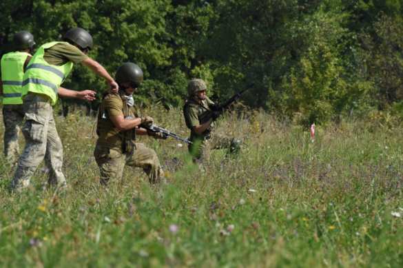 «Убивать оккупантов по новым методикам» — британские военные инструкторы обучают карателей (ФОТО) | Русская весна