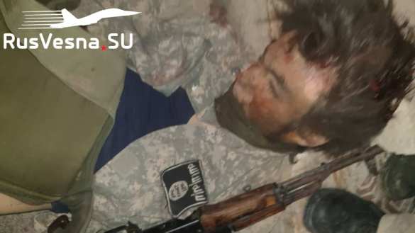 Кровавый провал: армейские позиции завалены трупами банды, взорвавшей метро в Петербурге (ФОТО 18+) | Русская весна