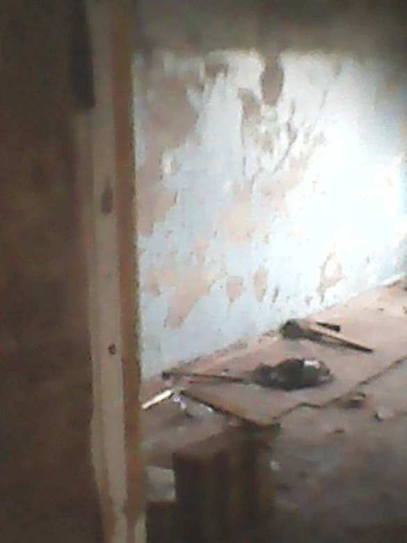 Кучи мусора, выбитые окна и мины: во что «всушники» превратили детский лагерь на Донбассе (ФОТО) | Русская весна