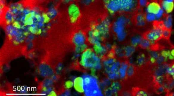 Уникальная находка: на Земле обнаружили вещество, более старое, чем Солнечная система (ФОТО) | Русская весна