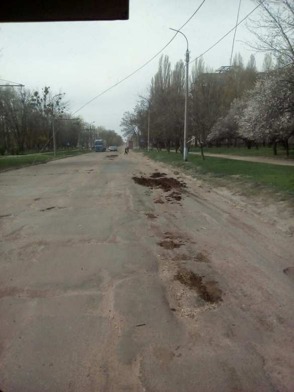 Это Украина: Ямы на дороге в Черкассах «залатали» фекалиями (ФОТО) | Русская весна