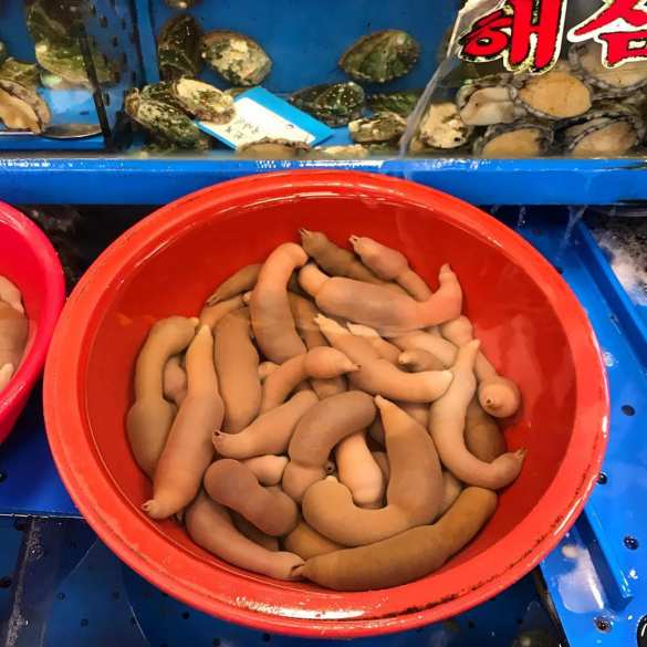 Американские пляжи подверглись нашествию «рыбы-пениса» (ФОТО) | Русская весна