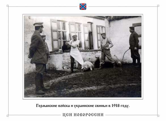 «Армии нет, бегство, хаос и позор»: 102 года со дня капитуляции (ФОТО) | Русская весна