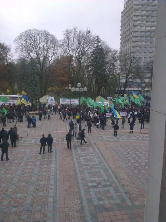 «УКРОП» собирается бузить под Радой — Ляшко притащил палатки (ФОТО) | Русская весна