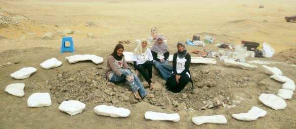 Ученые нашли останки динозавра, жившего 80 млн лет назад (ФОТО, ВИДЕО) | Русская весна