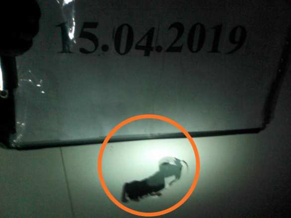 Десантники ВСУ «уничтожили» «ДРГ ДНР»: сводка о военной ситуации на Донбассе (+ВИДЕО, ФОТО) | Русская весна