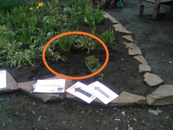 Десантники ВСУ «уничтожили» «ДРГ ДНР»: сводка о военной ситуации на Донбассе (+ВИДЕО, ФОТО) | Русская весна