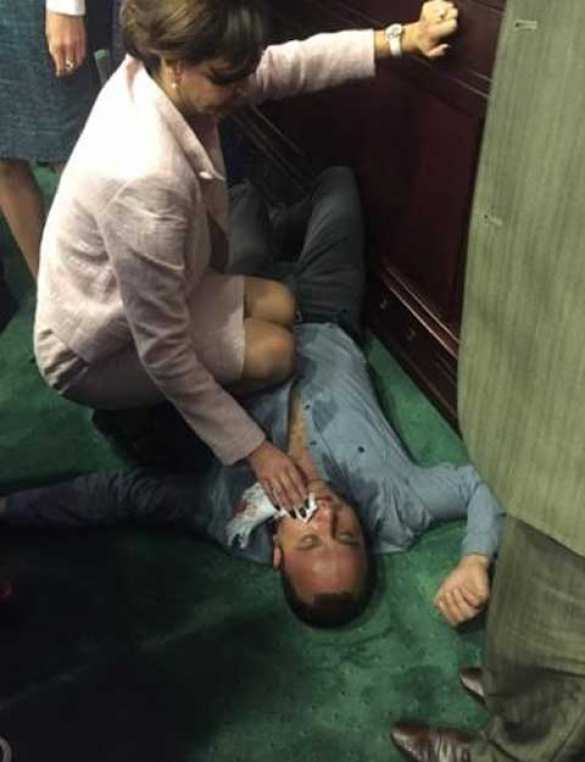 Депутат от Блока Порошенко во время драки отправил в нокаут коллегу от «Батькивщины» (ФОТО)  | Русская весна