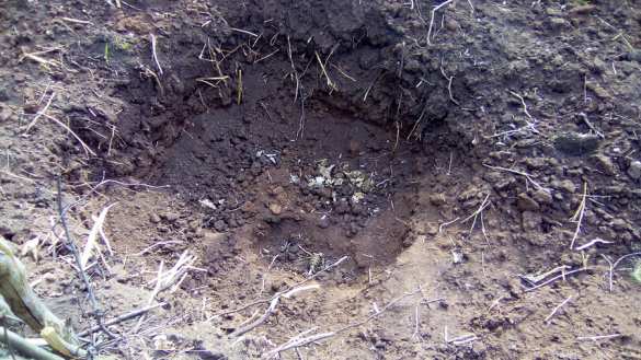 Ukrainian saboteurs' cellphones allegedly show OSCE vehicle blast in planning (Video) | Русская весна