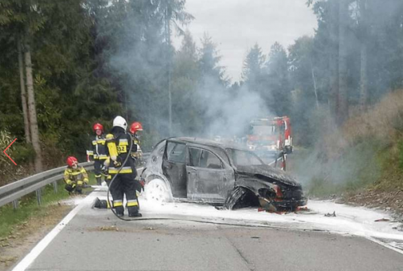 Загадочная история: В Польше посреди дороги дотла сгорел автомобиль, в котором ехали украинцы (ФОТО) | Русская весна