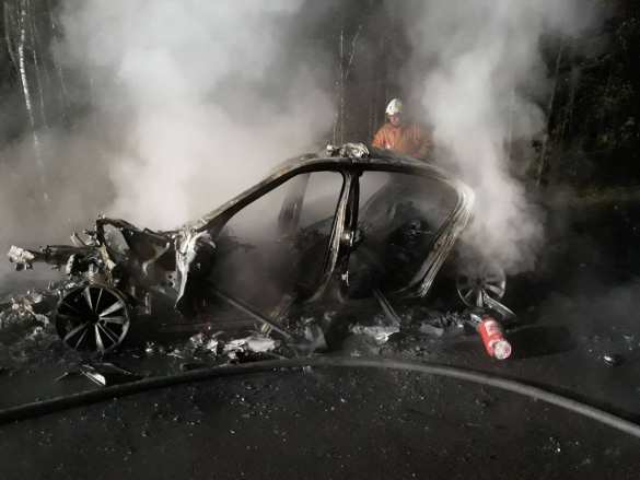 Смертельное ДТП на Западной Украине: лесовоз протаранил два автомобиля, двое погибли, один в реанимации (ФОТО) | Русская весна