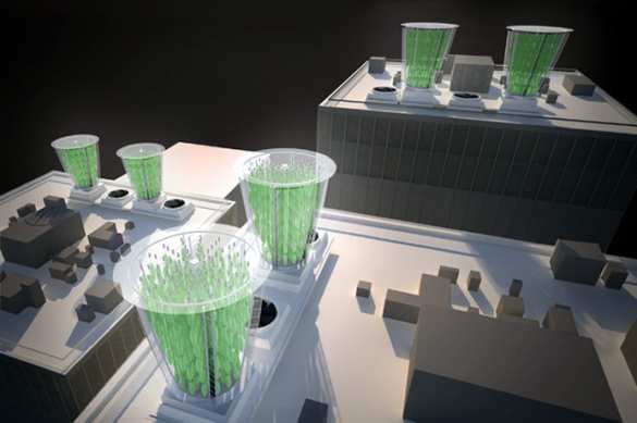 Первый лист небесного сада (видео) | Русская весна