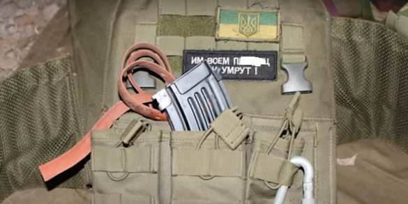 Спецоперация под Могилёвом: нейтрализованы «лесные партизаны» с украинской символикой (+ФОТО, ВИДЕО) | Русская весна